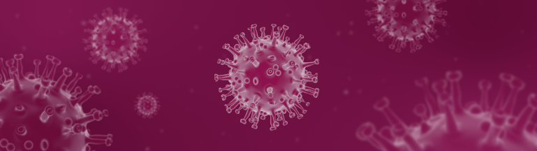 Decreto nº 096/2020, de 25 de maio de 2020